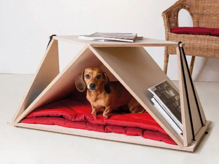 dog bed coffee table