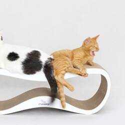 chic pet furniture