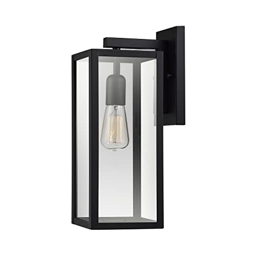 Globe Electric 44176 Bowery 1-Light Outdoor and Indoor Wall Sconce