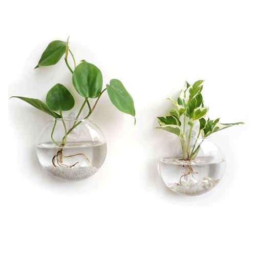 Mkono Wall Hanging Glass Terrariums Planter Oblate Flower Vase for