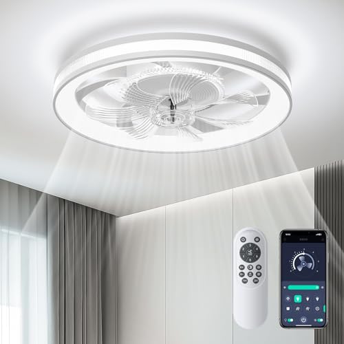 Modern Ceiling Fans with Lights: 19" Low Profile Ceiling Fan