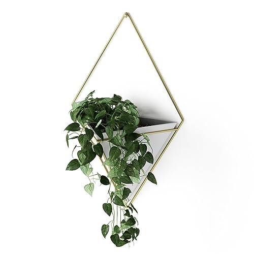 Umbra Trigg Hanging Planter Vase Wall Decor, Pot and Container