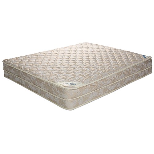 Leggett & Platt AirDream Hypoallergenic Inflatable Mattress with Electric Hand