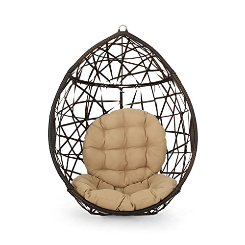 Christopher Knight Home Isaiah Indoor/Outdoor Wicker Tear Drop Hanging Chair