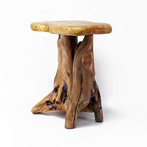 WELLAND Tree Stump Side Table, Live Edge Stool, Natural Edge Wood Side Table, Accent Table, 19