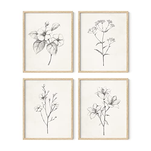 HAUS AND HUES Grey Floral Wall Art - Set of