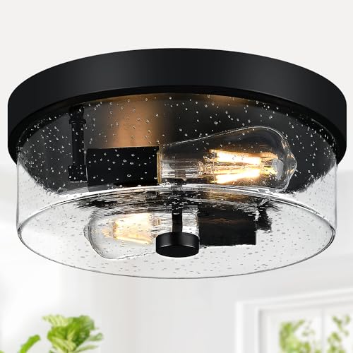 Black Flush Mount Ceiling Light Fixtures, 2-Light Ceiling Mount for