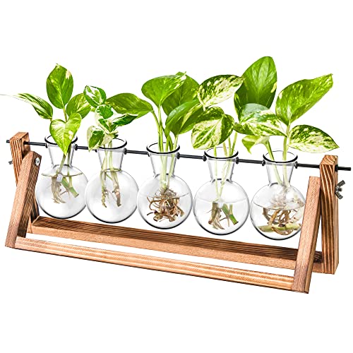 Ivolador Desktop Plant Propagation Stations，Plant Terrarium，Plant Lover Gifts for Women