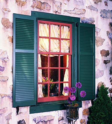 LTL Home Products SHL55 Exterior Solid Wood Louvered Window Shutters, 15" x 55