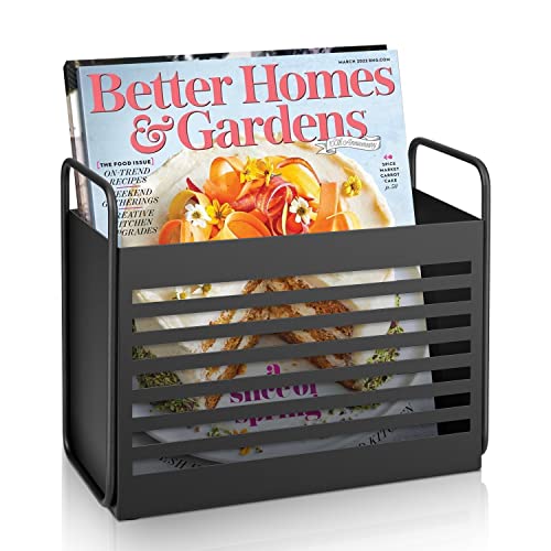 Aisung Magazine Rack, Magazine File Holder Mail Organizer Folder Organizer