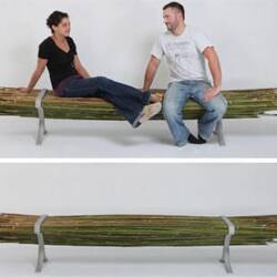 Bamboo Bench Gal Ben Arav