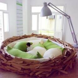 bird nest bed