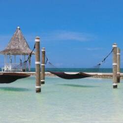 black large hammock for the beach