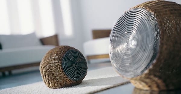 modern rattan fan