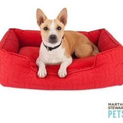 cotton bolster dog bed