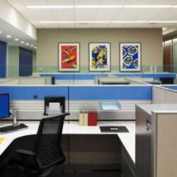 cubicle and office environments