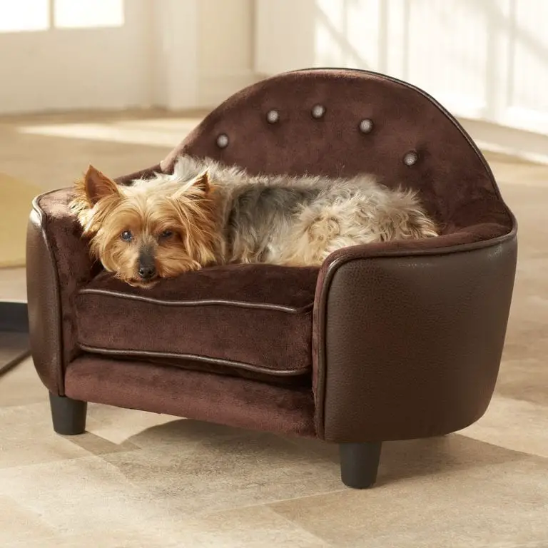 dog specific chair