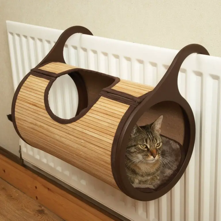 hanging cat beds