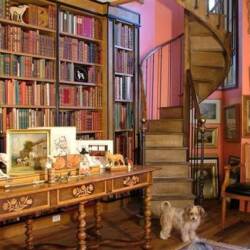 home library with staircase and dog