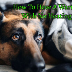 How To Have A Warm Bed With No Heating