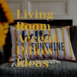 Living Room Accent Pillow Ideas